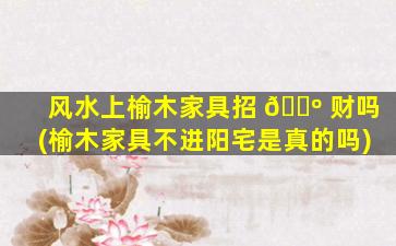 风水上榆木家具招 🐺 财吗(榆木家具不进阳宅是真的吗)